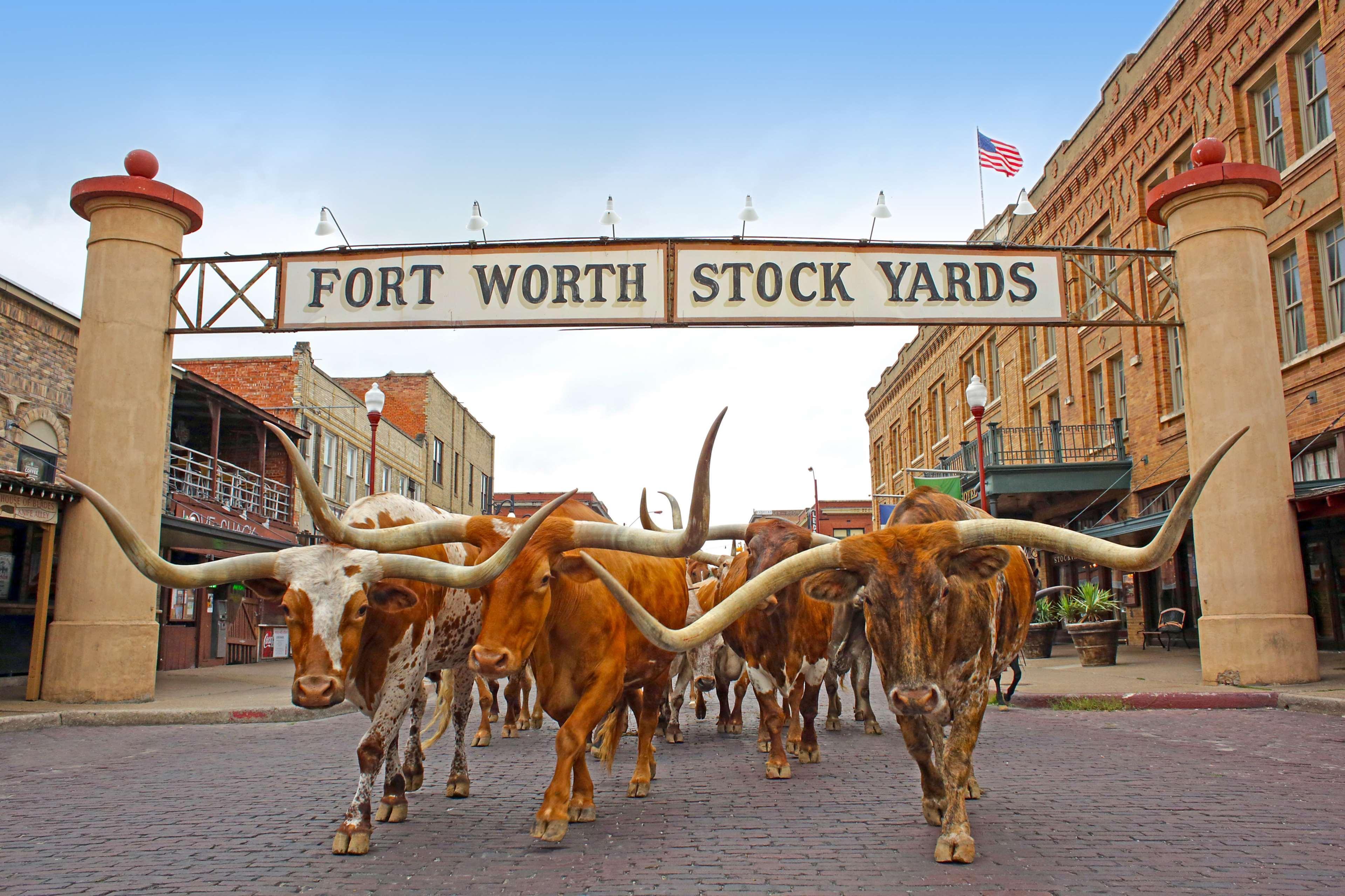Radisson Hotel Fort Worth North-Fossil Creek Ngoại thất bức ảnh